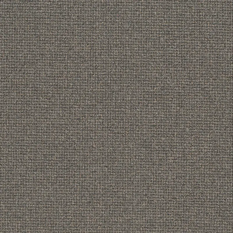 Structure - Camber
