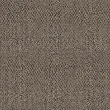 ProSolutions - Carpet Plank Solon Greige 9-27/32" x 39-3/8" - 5.98 Sqyd per Box
