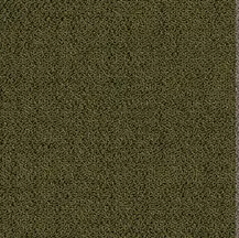 ProSolutions - Carpet Plank Solon Moss 9-27/32" x 39-3/8" - 5.98 Sqyd per Box