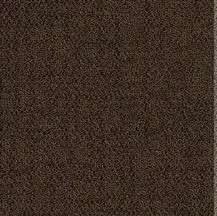 ProSolutions - Carpet Plank Solon Barktone 9-27/32" x 39-3/8" - 5.98 Sqyd per Box
