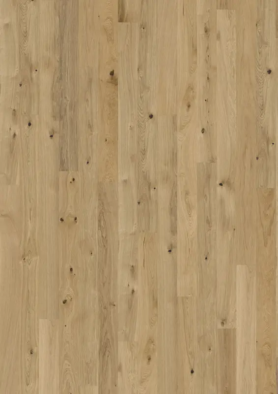 OAK PURE