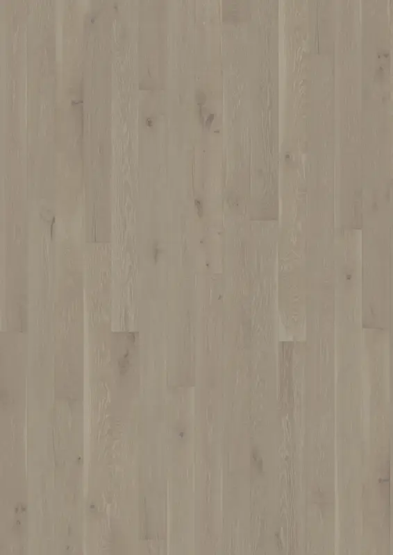 OAK CINDER
