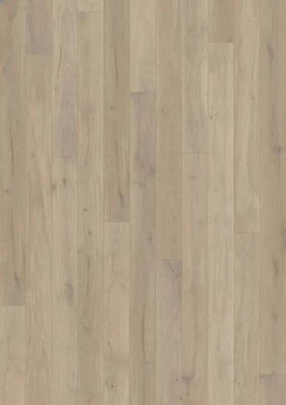 OAK MUSE MATTE