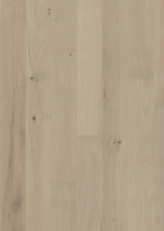OAK MUSE WIDE MATTE