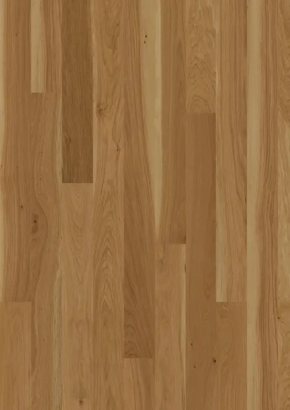 OAK ECRU