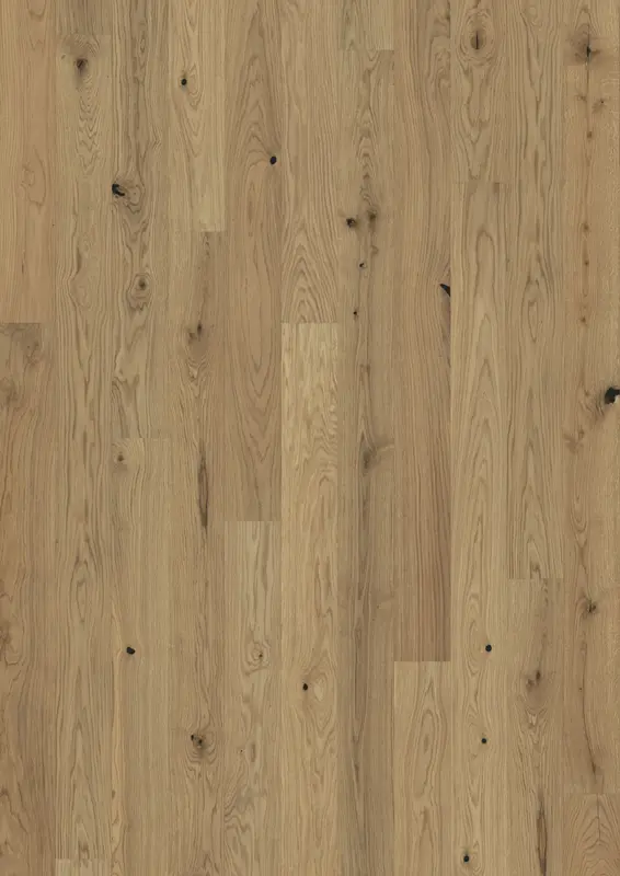 OAK ETCH MATTE