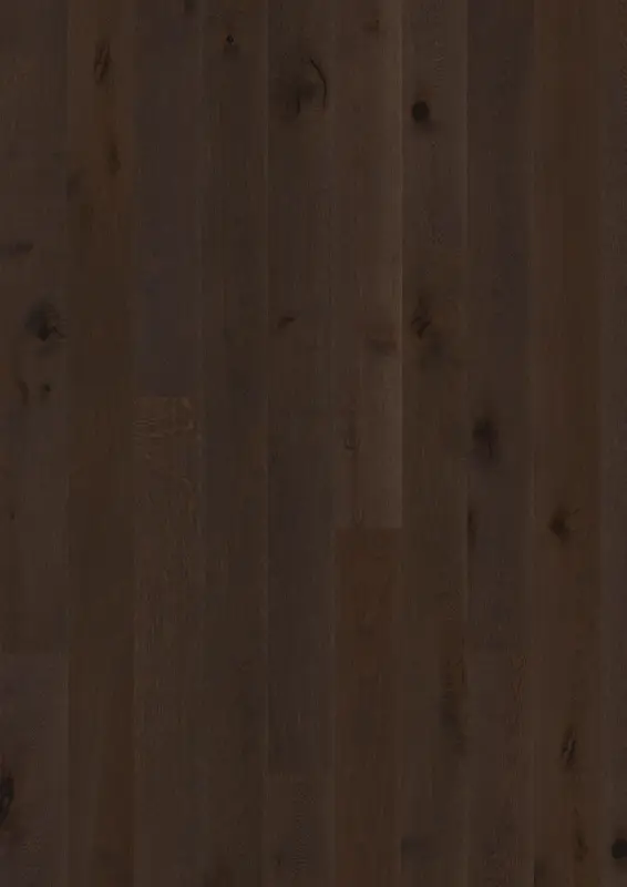 OAK RUSSET