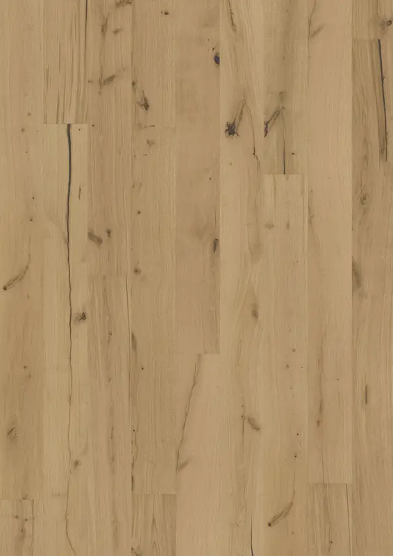 TEXTURE ROHOPTIC