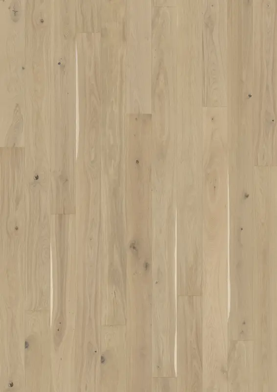 OAK EGGSHELL