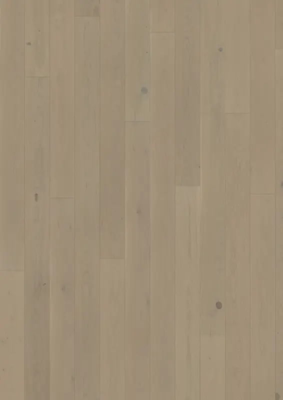 OAK CRAYON