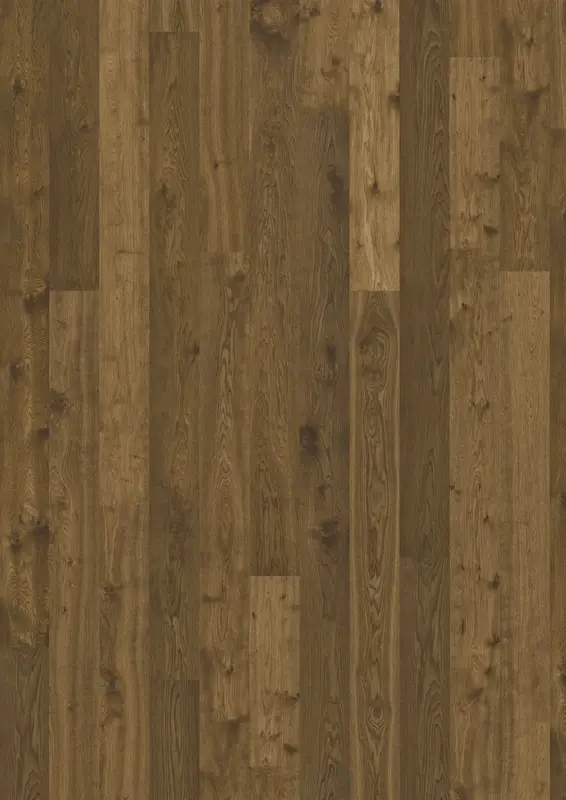 OAK TERRA