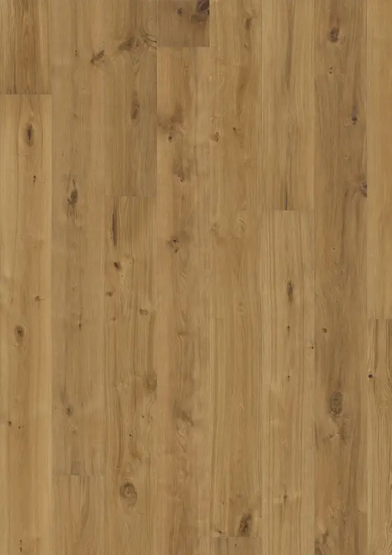OAK VEDBO