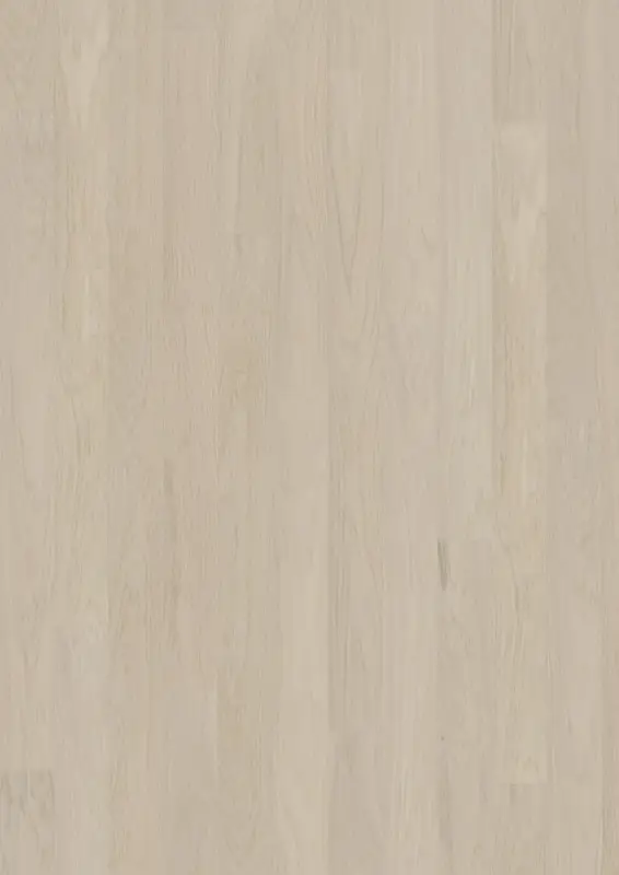 COCONUT CREAM WIDE