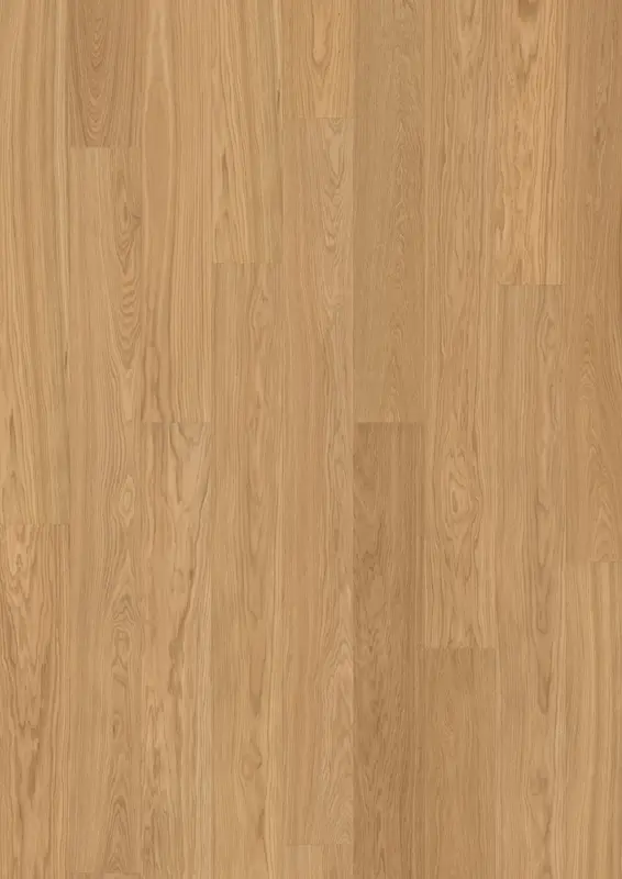 OAK NUTMEG PLANK
