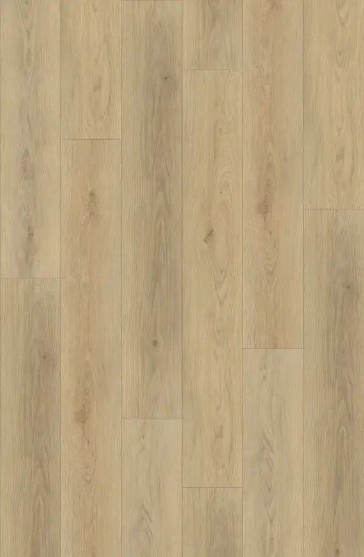 TRANQUILITY CLICK PLANK
