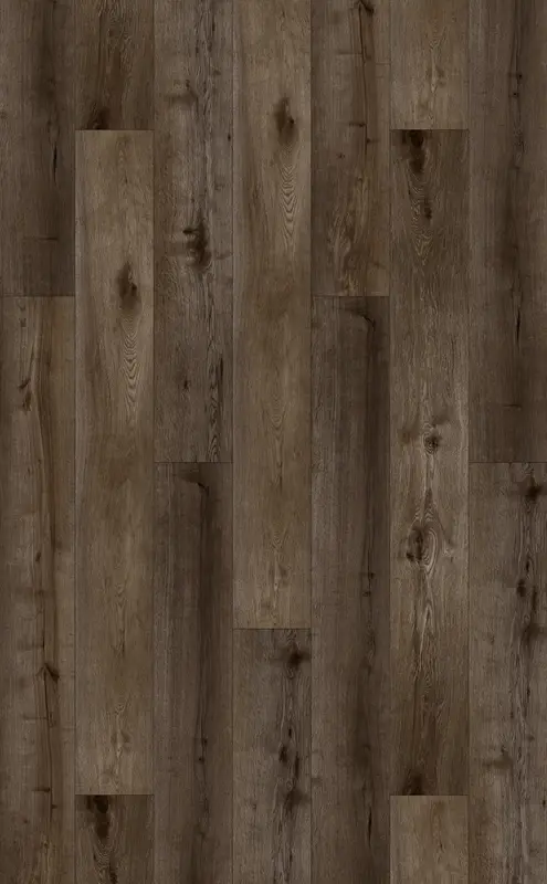 CELESTIAL CLICK PLANK