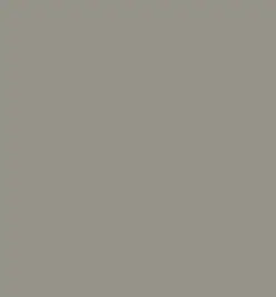 Tarkett - Corner Guards - VBG 32 C 96 Corner Guard 1-1/4" #32 Pebble - Profile 4'