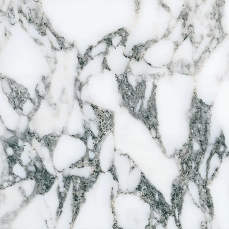 Italbec Floor Tiles Vera Vena New Arabescato Polished 24" x 24"
