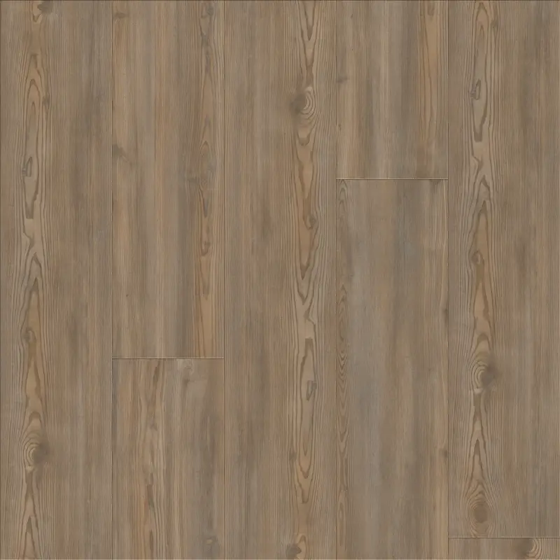 Treasure Pine