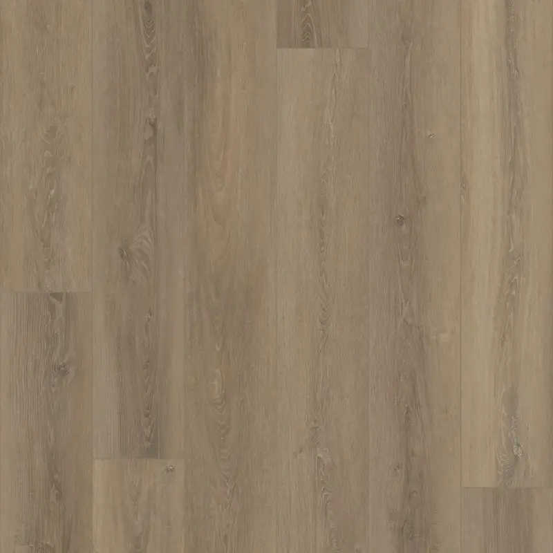 Grande Ellidy Oak