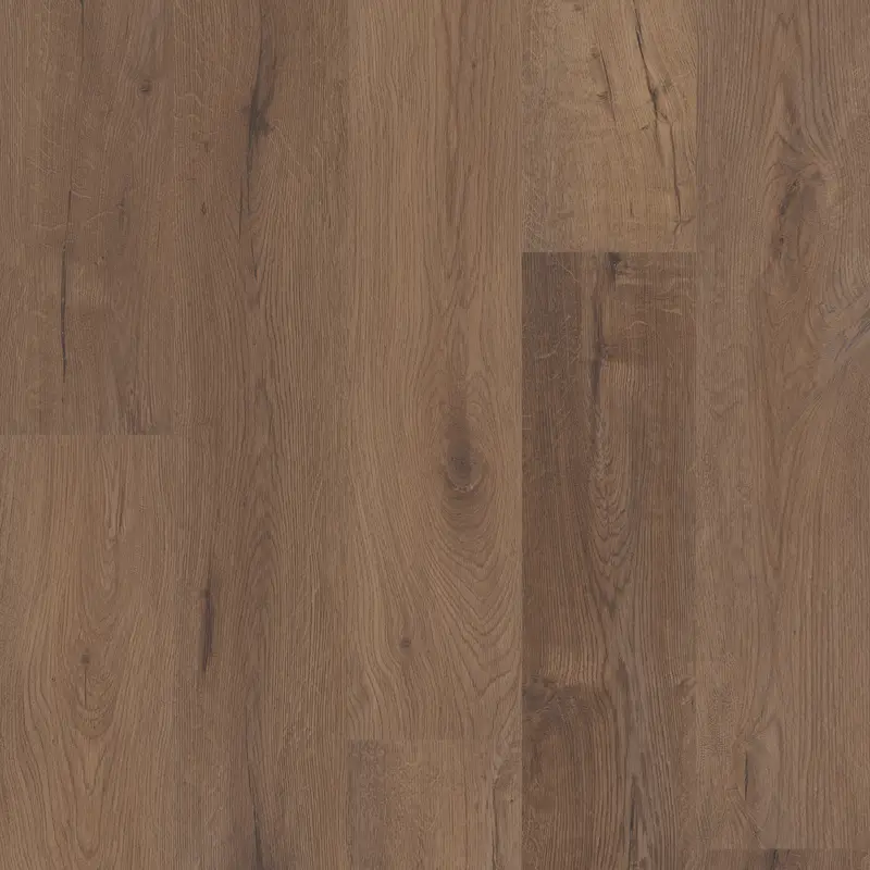 Cerith Oak