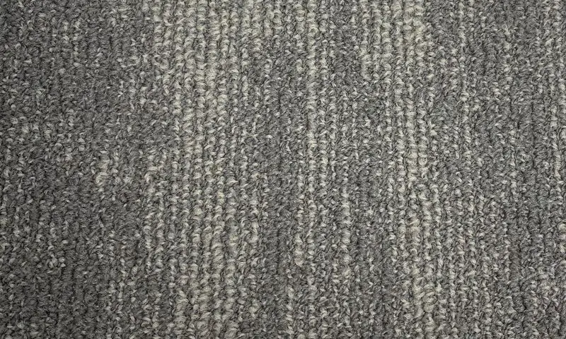 Fuzion Carpet Tiles Warsaw Leduc 10" x 40"