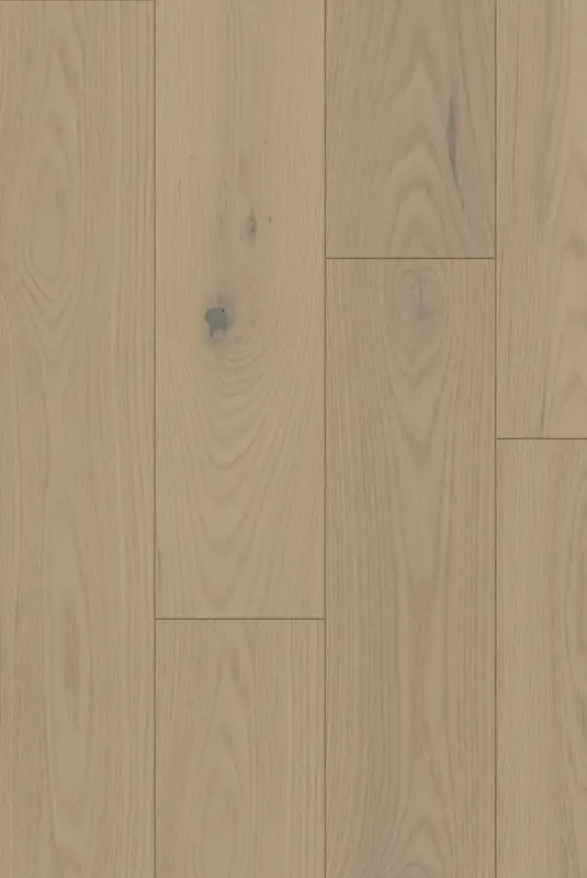 Oak - Zen