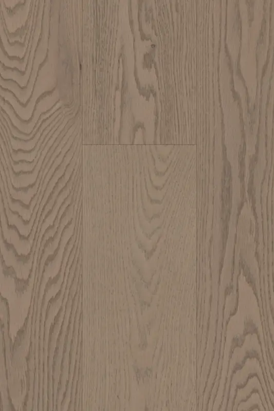 Oak - Camel