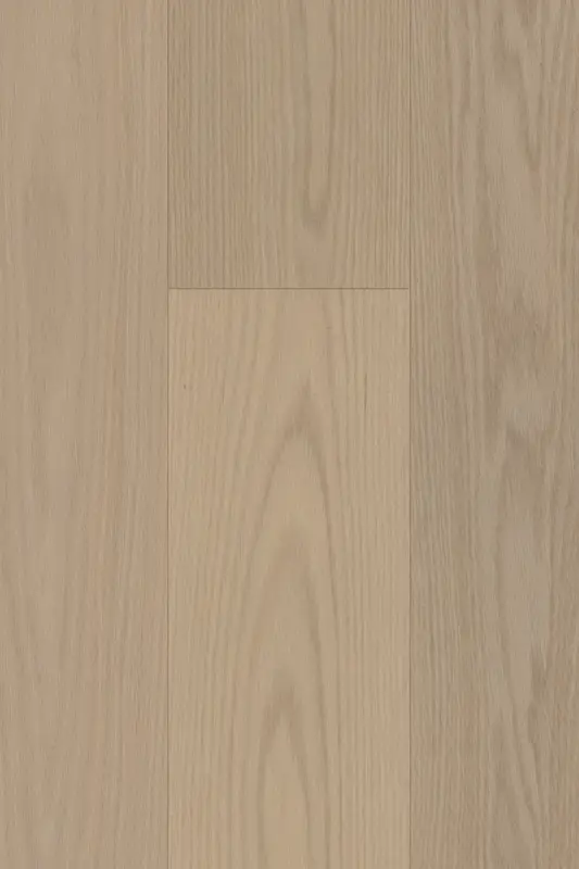 Oak - Barrista