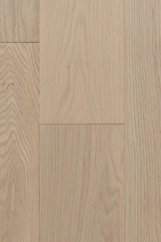 Oak - Blush