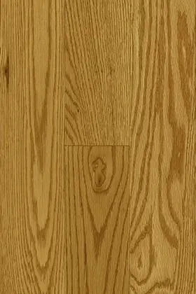 Oak - Honey