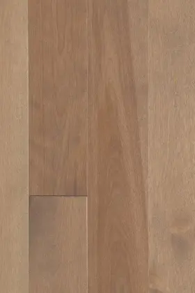 Birch - Kyra
