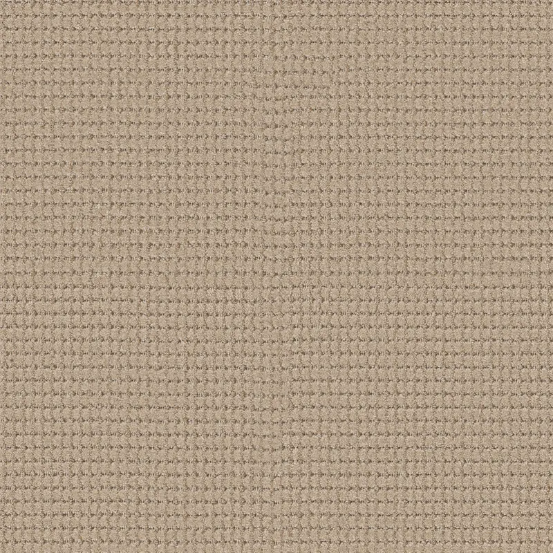 Rhode - Cork