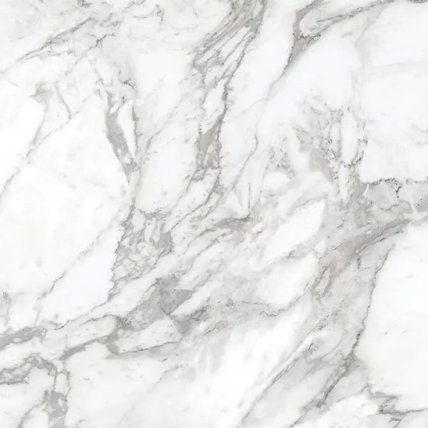 Valencia - Arabescato 12x24 Polished
