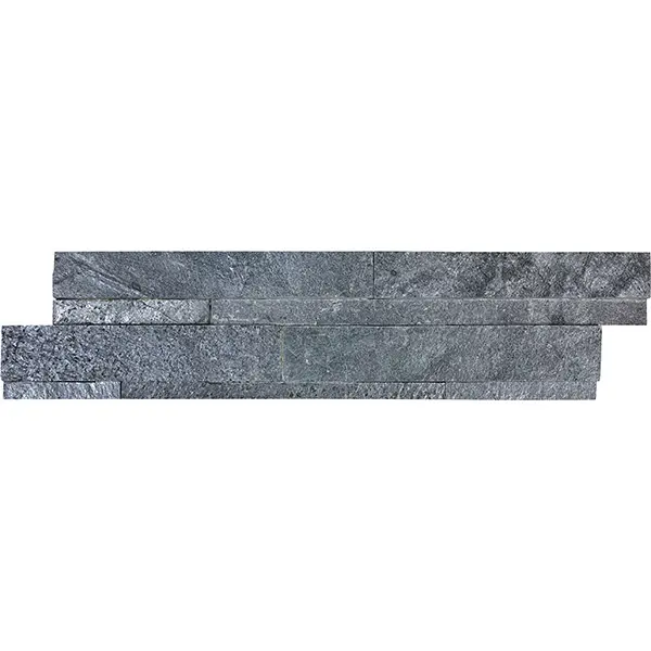 Ledger Stone - Astro Silver