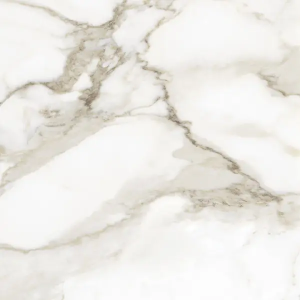 Valencia - Calacatta Paonazzo 12x24 Polished
