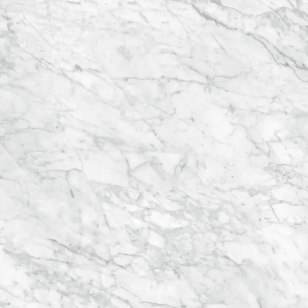 Valencia - Carrara Gioia 24x24 Polished