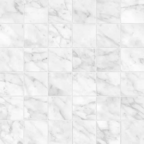 Valencia - Carrara Gioia 2x2 Mosaic
