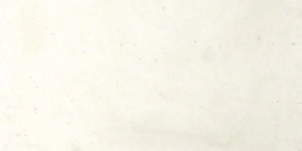 LIMESTONE - Paloma