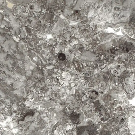 MARBLE - Grigio Billiemi