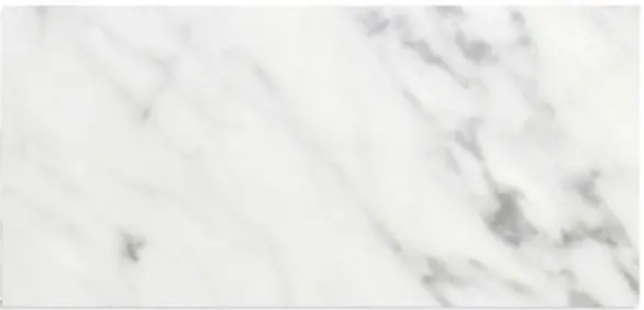 MARBLE Bianco Carrara 3" x 6" Honed