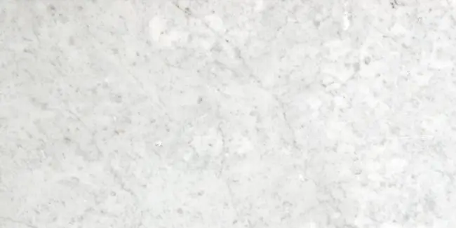 MARBLE Bianco Carrara 12" x 24" Honed