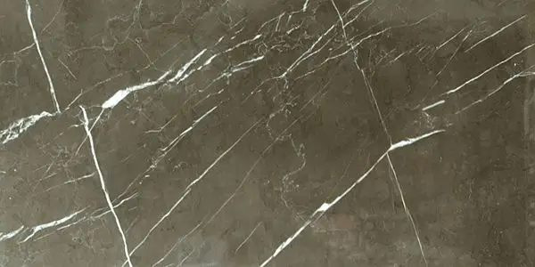 MARBLE Grafite 16" x 24" Polished
