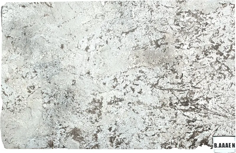 SLABS GRANITE Bianco Antico Polished