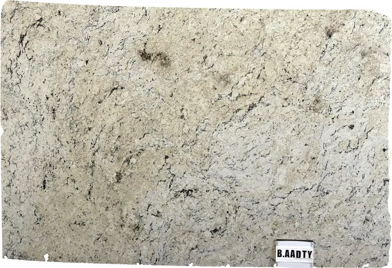 SLABS GRANITE Delicatus White Polished