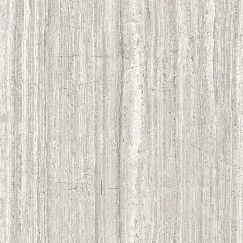 ETERNA Ash 24" x 24" Polished