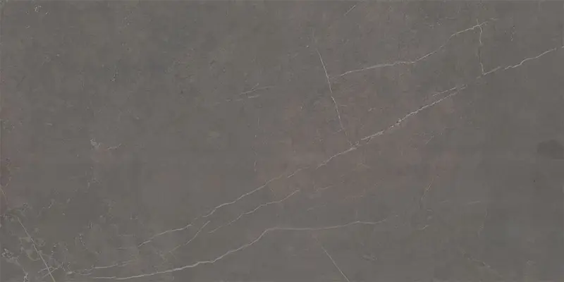 ETERNA Dark Grey 12" x 24" Polished