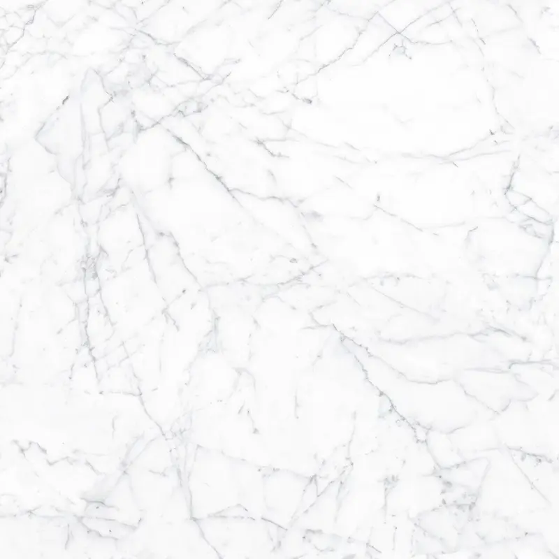 ETERNA Carrara Gioia 24" x 24" Polished