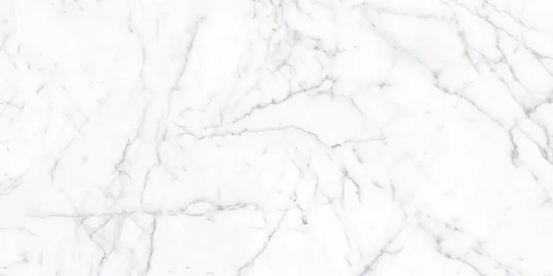 ETERNA Carrara Gioia 24" x 48" Polished