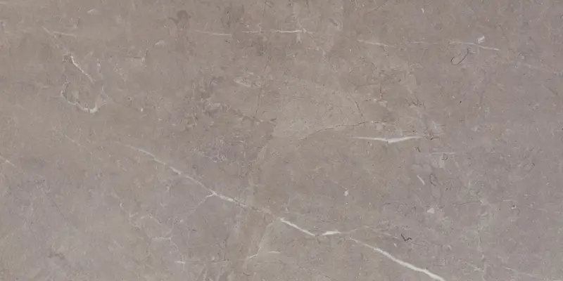 ETERNA Medium Grey 24" x 48" Matte
